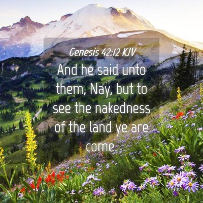 Picture 04 - Genesis 42:12 KJV - And he said unto them, Nay, but to see the - Bible Verse Picture