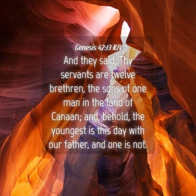 Picture 04 - Genesis 42:13 KJV - And they said, Thy servants are twelve brethren, - Bible Verse Picture
