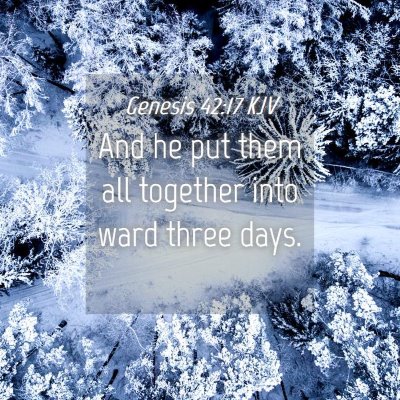Picture 04 - Genesis 42:17 KJV - And he put them all together into ward three - Bible Verse Picture