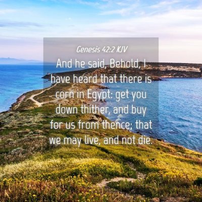 Picture 04 - Genesis 42:2 KJV - And he said, Behold, I have heard that there is - Bible Verse Picture