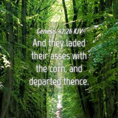 Picture 04 - Genesis 42:26 KJV - And they laded their asses with the corn, and - Bible Verse Picture
