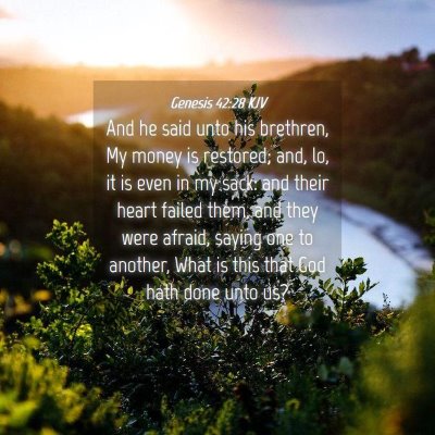 Picture 04 - Genesis 42:28 KJV - And he said unto his brethren, My money is - Bible Verse Picture