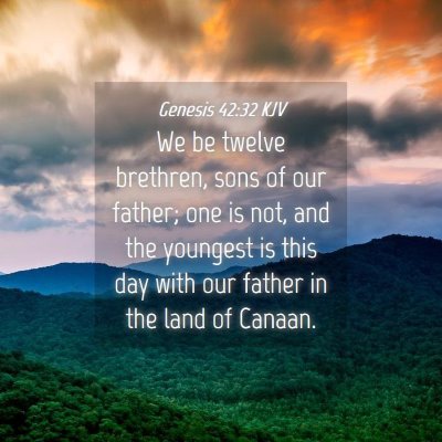 Picture 04 - Genesis 42:32 KJV - We be twelve brethren, sons of our father; one is - Bible Verse Picture