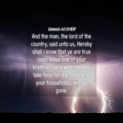 Picture 04 - Genesis 42:33 KJV - And the man, the lord of the country, said unto - Bible Verse Picture
