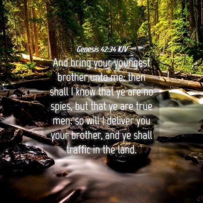 Picture 04 - Genesis 42:34 KJV - And bring your youngest brother unto me: then - Bible Verse Picture