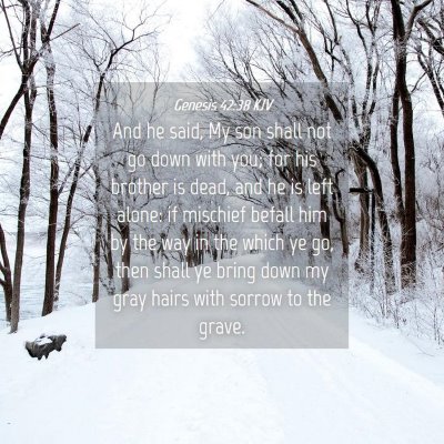 Picture 04 - Genesis 42:38 KJV - And he said, My son shall not go down with you; - Bible Verse Picture
