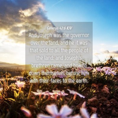 Picture 04 - Genesis 42:6 KJV - And Joseph was the governor over the land, and he - Bible Verse Picture