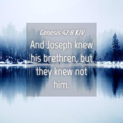 Picture 04 - Genesis 42:8 KJV - And Joseph knew his brethren, but they knew not - Bible Verse Picture