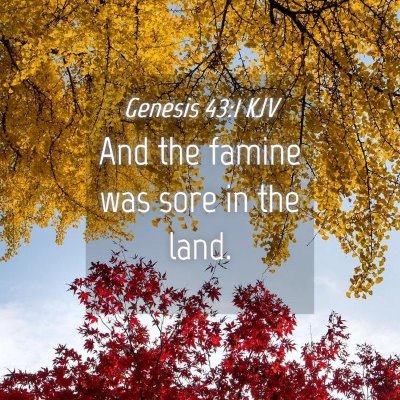 Picture 04 - Genesis 43:1 KJV - And the famine was sore in the - Bible Verse Picture
