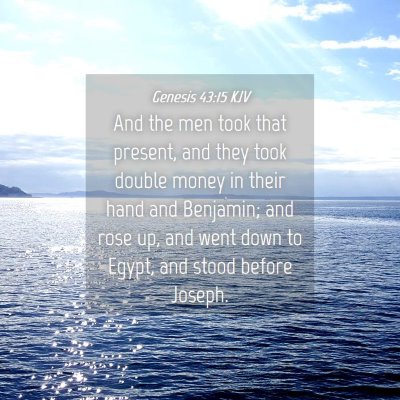 Picture 04 - Genesis 43:15 KJV - And the men took that present, and they took - Bible Verse Picture