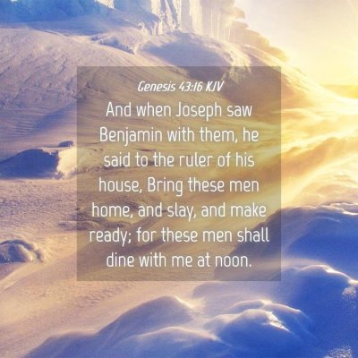 Picture 04 - Genesis 43:16 KJV - And when Joseph saw Benjamin with them, he said - Bible Verse Picture
