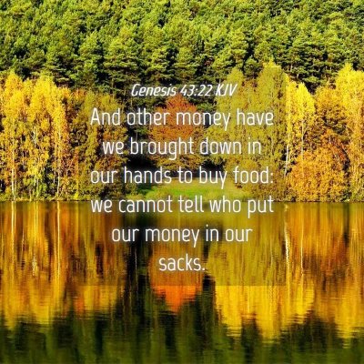 Picture 04 - Genesis 43:22 KJV - And other money have we brought down in our hands - Bible Verse Picture