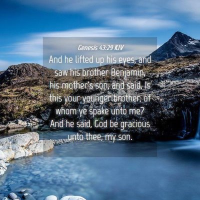 Picture 04 - Genesis 43:29 KJV - And he lifted up his eyes, and saw his brother - Bible Verse Picture