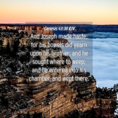 Picture 04 - Genesis 43:30 KJV - And Joseph made haste; for his bowels did yearn - Bible Verse Picture
