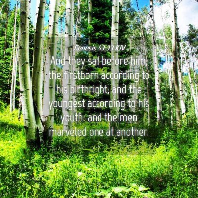 Picture 04 - Genesis 43:33 KJV - And they sat before him, the firstborn according - Bible Verse Picture