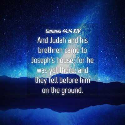 Picture 04 - Genesis 44:14 KJV - And Judah and his brethren came to Joseph's - Bible Verse Picture