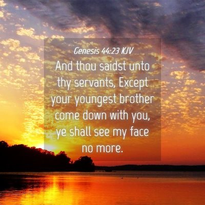 Picture 04 - Genesis 44:23 KJV - And thou saidst unto thy servants, Except your - Bible Verse Picture