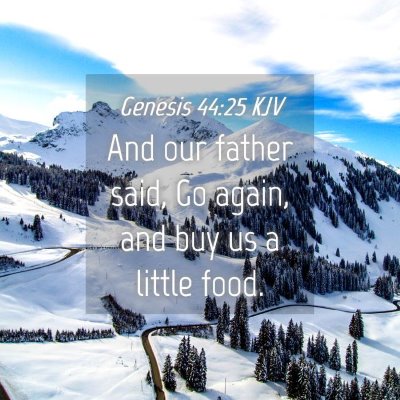 Picture 04 - Genesis 44:25 KJV - And our father said, Go again, and buy us a - Bible Verse Picture