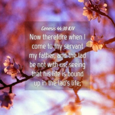 Picture 04 - Genesis 44:30 KJV - Now therefore when I come to thy servant my - Bible Verse Picture