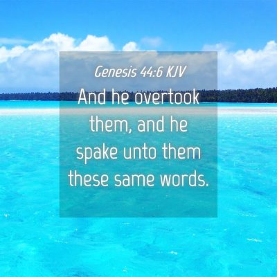 Picture 04 - Genesis 44:6 KJV - And he overtook them, and he spake unto them - Bible Verse Picture
