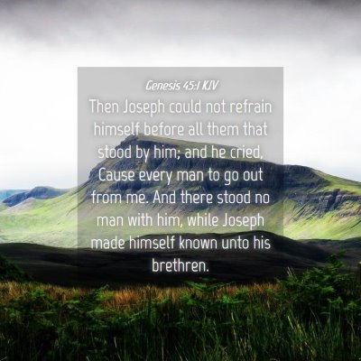 Picture 04 - Genesis 45:1 KJV - Then Joseph could not refrain himself before all - Bible Verse Picture