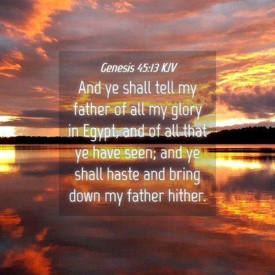 Picture 04 - Genesis 45:13 KJV - And ye shall tell my father of all my glory in - Bible Verse Picture