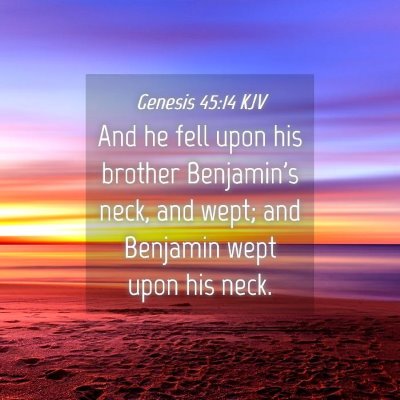 Picture 04 - Genesis 45:14 KJV - And he fell upon his brother Benjamin's neck, and - Bible Verse Picture
