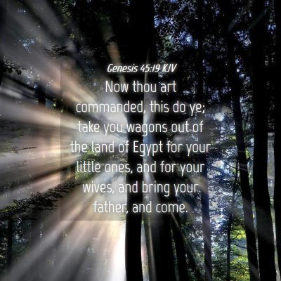 Picture 04 - Genesis 45:19 KJV - Now thou art commanded, this do ye; take you - Bible Verse Picture