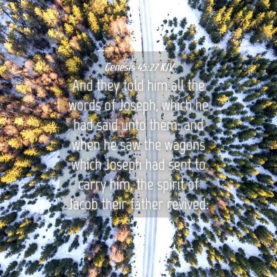 Picture 04 - Genesis 45:27 KJV - And they told him all the words of Joseph, which - Bible Verse Picture