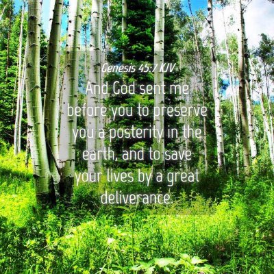 Picture 04 - Genesis 45:7 KJV - And God sent me before you to preserve you a - Bible Verse Picture