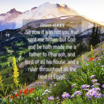 Picture 04 - Genesis 45:8 KJV - So now it was not you that sent me hither, but - Bible Verse Picture
