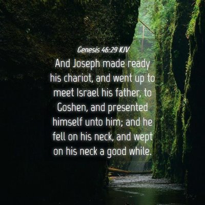 Picture 04 - Genesis 46:29 KJV - And Joseph made ready his chariot, and went up to - Bible Verse Picture