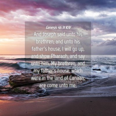 Picture 04 - Genesis 46:31 KJV - And Joseph said unto his brethren, and unto his - Bible Verse Picture