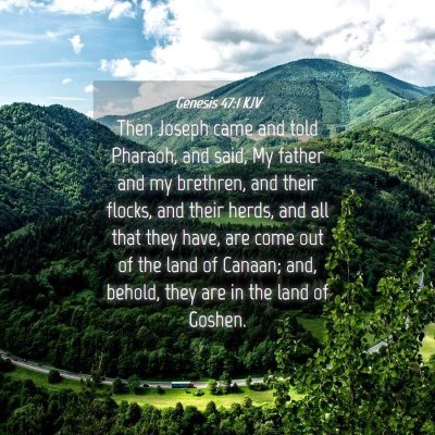 Picture 04 - Genesis 47:1 KJV - Then Joseph came and told Pharaoh, and said, My - Bible Verse Picture