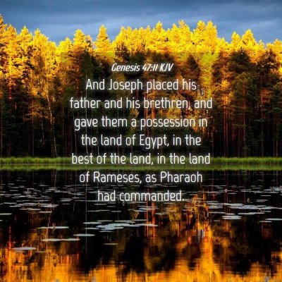 Picture 04 - Genesis 47:11 KJV - And Joseph placed his father and his brethren, - Bible Verse Picture