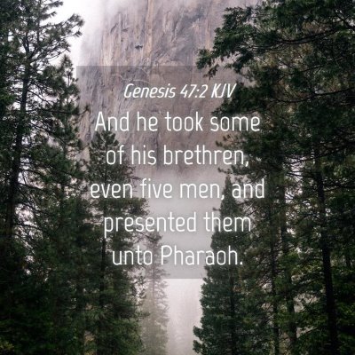 Picture 04 - Genesis 47:2 KJV - And he took some of his brethren, even five men, - Bible Verse Picture