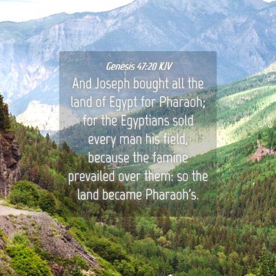 Picture 04 - Genesis 47:20 KJV - And Joseph bought all the land of Egypt for - Bible Verse Picture