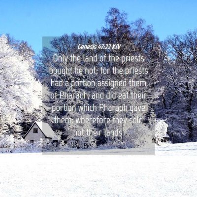 Picture 04 - Genesis 47:22 KJV - Only the land of the priests bought he not; for - Bible Verse Picture