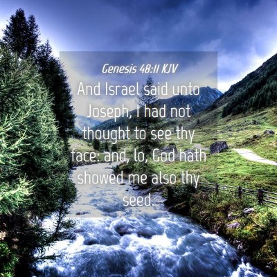 Picture 04 - Genesis 48:11 KJV - And Israel said unto Joseph, I had not thought to - Bible Verse Picture