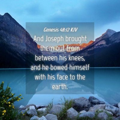 Picture 04 - Genesis 48:12 KJV - And Joseph brought them out from between his - Bible Verse Picture