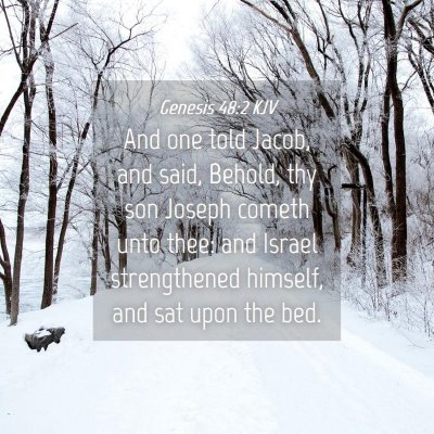 Picture 04 - Genesis 48:2 KJV - And one told Jacob, and said, Behold, thy son - Bible Verse Picture