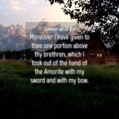 Picture 04 - Genesis 48:22 KJV - Moreover I have given to thee one portion above - Bible Verse Picture