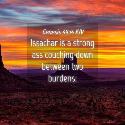 Picture 04 - Genesis 49:14 KJV - Issachar is a strong ass couching down between - Bible Verse Picture