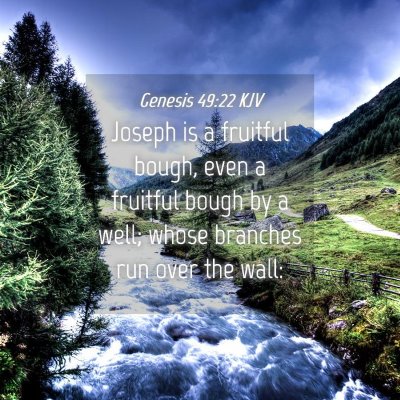 Picture 04 - Genesis 49:22 KJV - Joseph is a fruitful bough, even a fruitful bough - Bible Verse Picture