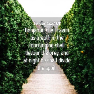 Picture 04 - Genesis 49:27 KJV - Benjamin shall raven as a wolf: in the morning he - Bible Verse Picture
