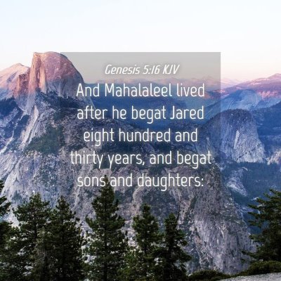 Picture 04 - Genesis 5:16 KJV - And Mahalaleel lived after he begat Jared eight - Bible Verse Picture