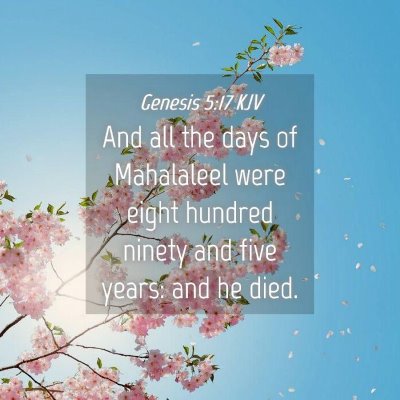 Picture 04 - Genesis 5:17 KJV - And all the days of Mahalaleel were eight hundred - Bible Verse Picture