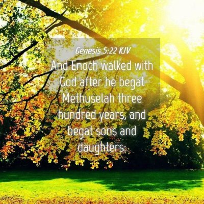 Picture 04 - Genesis 5:22 KJV - And Enoch walked with God after he begat - Bible Verse Picture