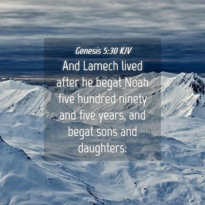 Picture 04 - Genesis 5:30 KJV - And Lamech lived after he begat Noah five hundred - Bible Verse Picture