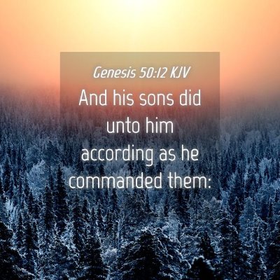 Picture 04 - Genesis 50:12 KJV - And his sons did unto him according as he - Bible Verse Picture